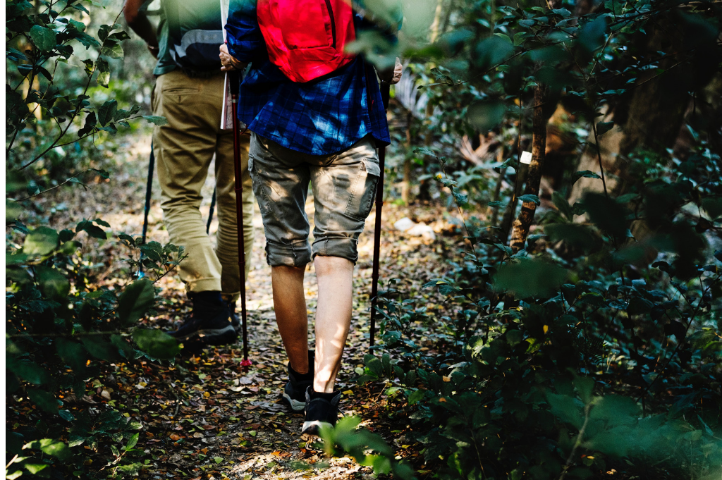 7 effective low-impact exercises for recovering athletes