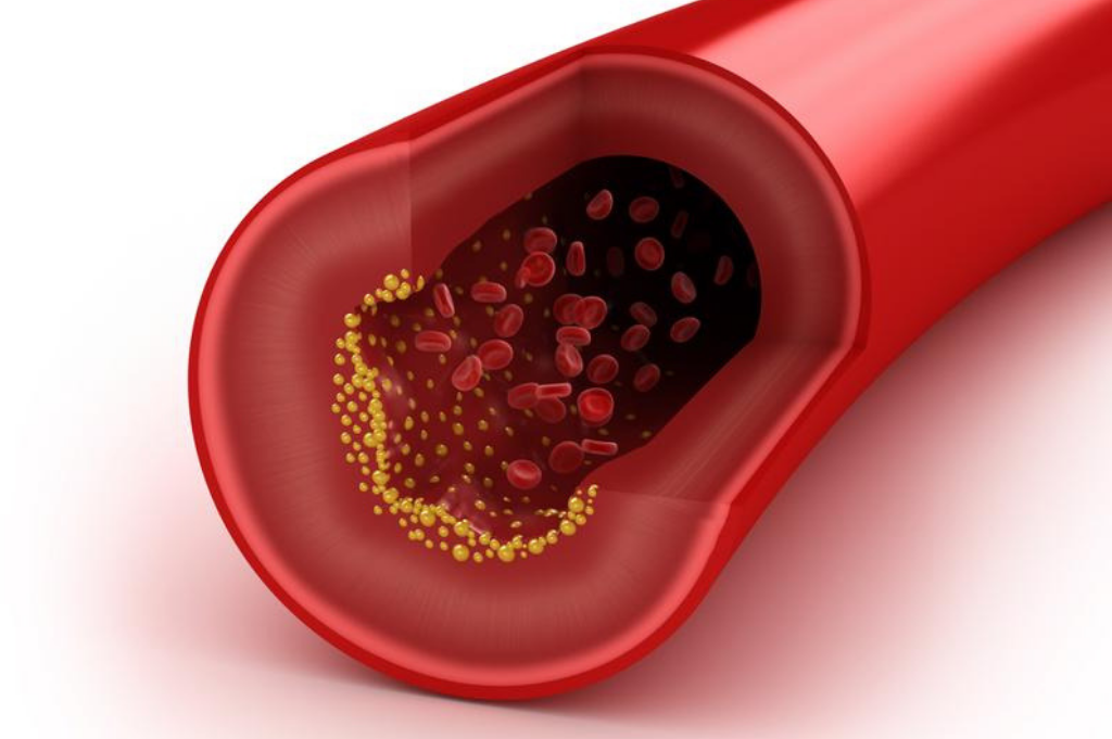 Massage therapy may be the key to healthy heart